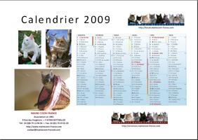 Cal2K9Couv