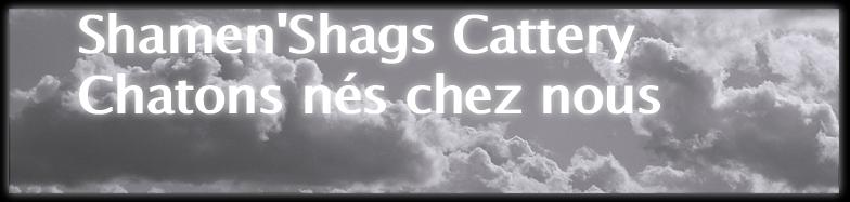 cloudImage