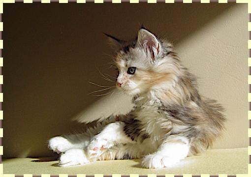 DSC08881