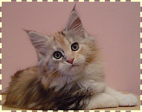 DSC09636a