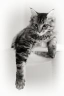 edouard3