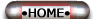 HomeButton