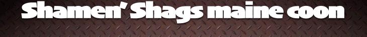 My Great Site